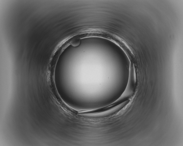 X0000116671066200912141336