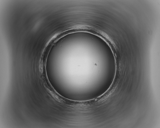 X0000116671067200912141336