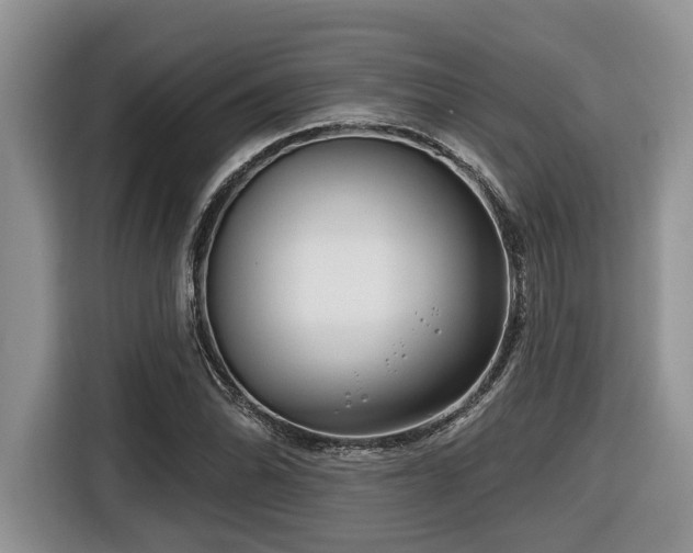 X0000116671070200912141336