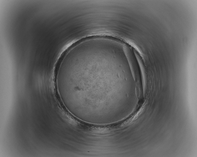 X0000116671071200912141336