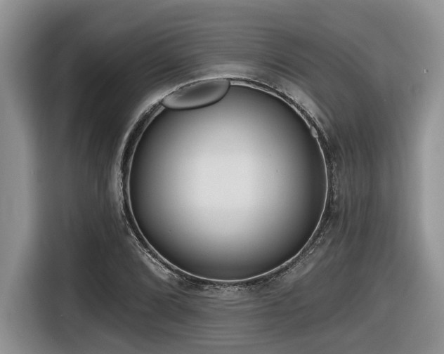 X0000116671072200912141336