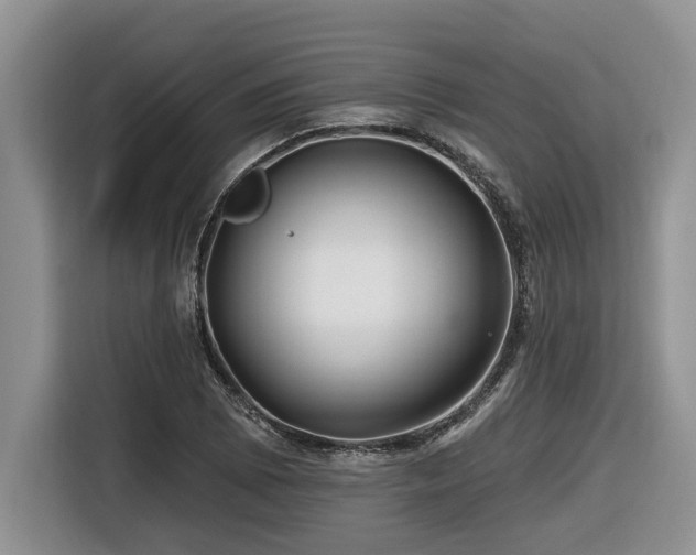 X0000116671073200912141336