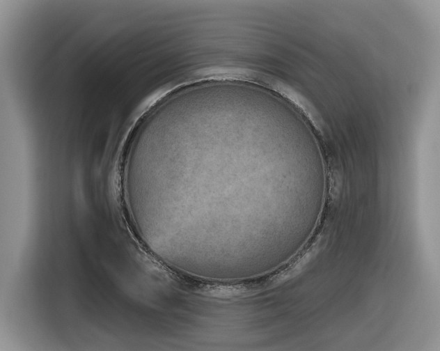 X0000116671074200912141336