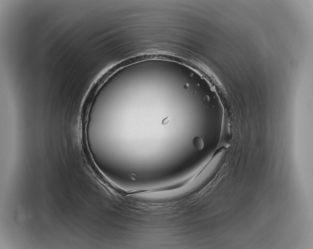 X0000116671076200912141336