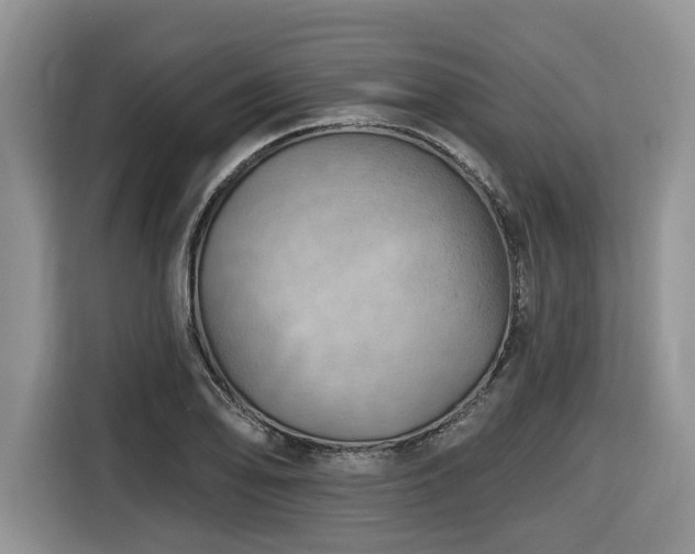 X0000116671078200912141336