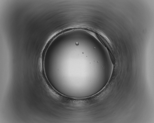 X0000116671079200912141336