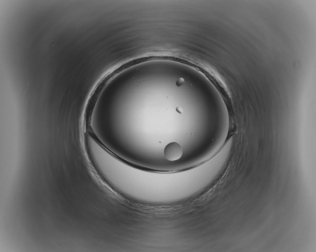 X0000116671080200912141336