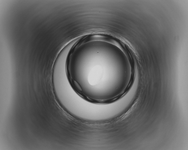 X0000116671081200912141336