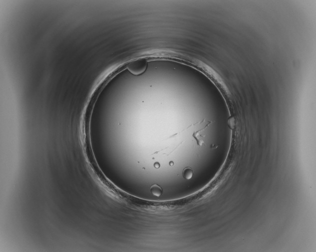 X0000116671082200912141336