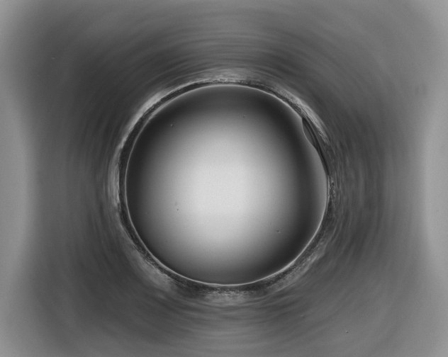 X0000116671083200912141336