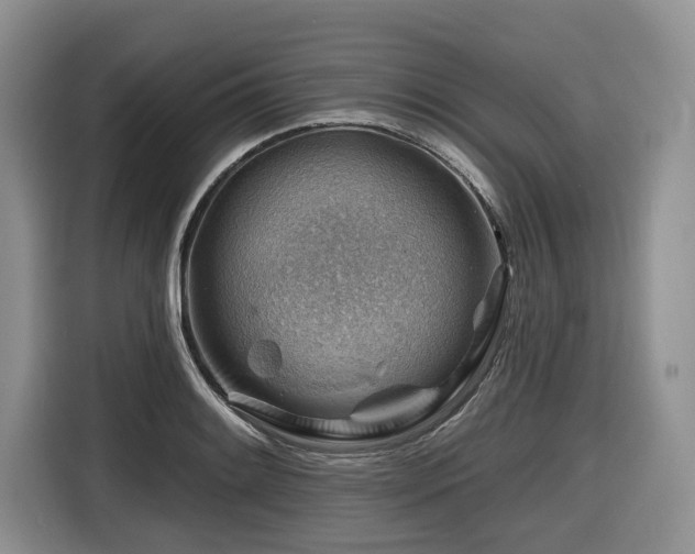 X0000116671084200912141336