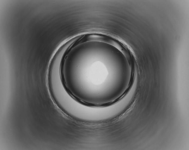 X0000116671085200912141336