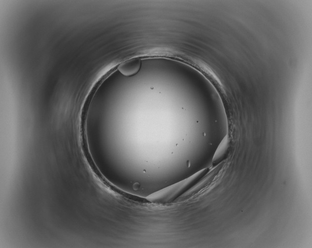 X0000116671087200912141336