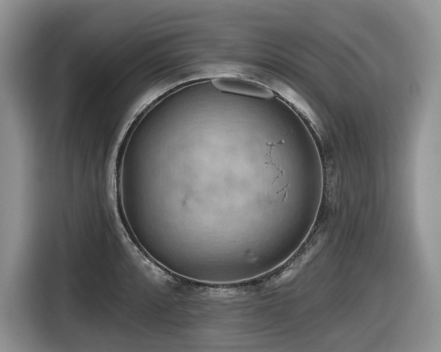 X0000116671088200912141336