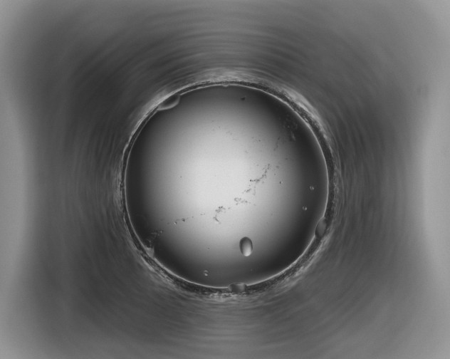 X0000116671089200912141336