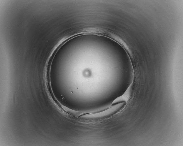 X0000116671091200912141336