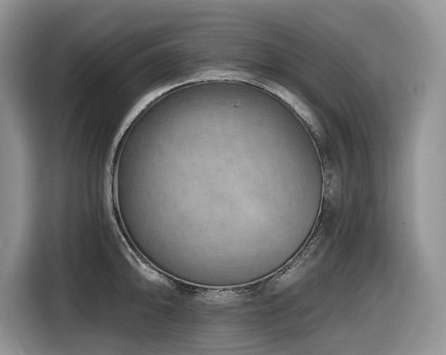 X0000116671094200912141335