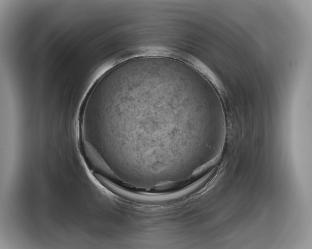 X0000116671095200912141335