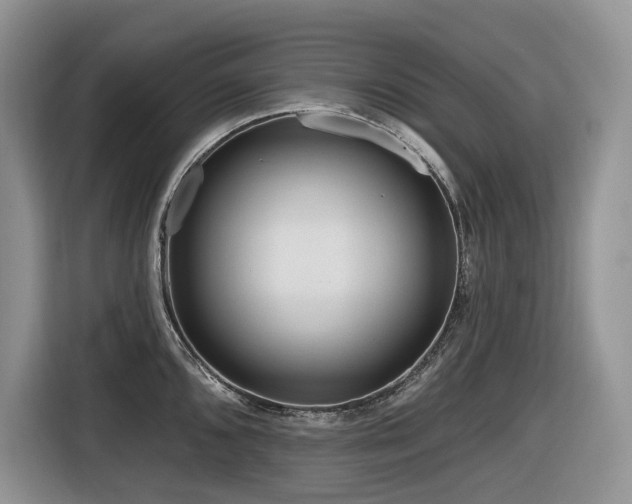 X0000116671096200912141335