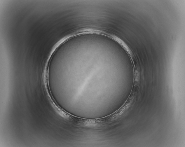 X0000116671098200912141335