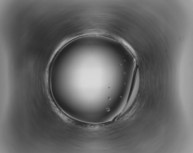 X0000116671099200912141335