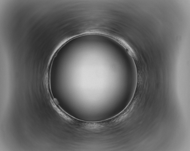 X0000116671100200912141335