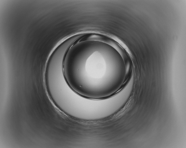 X0000116671101200912141335