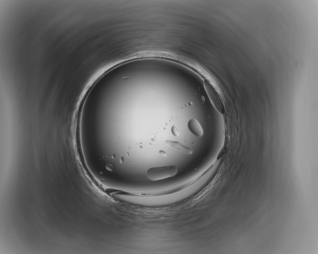 X0000116671102200912141335