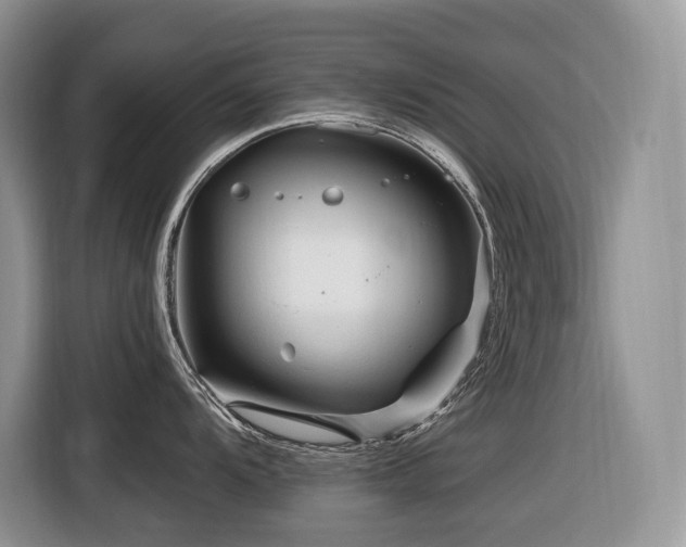 X0000116671104200912141335