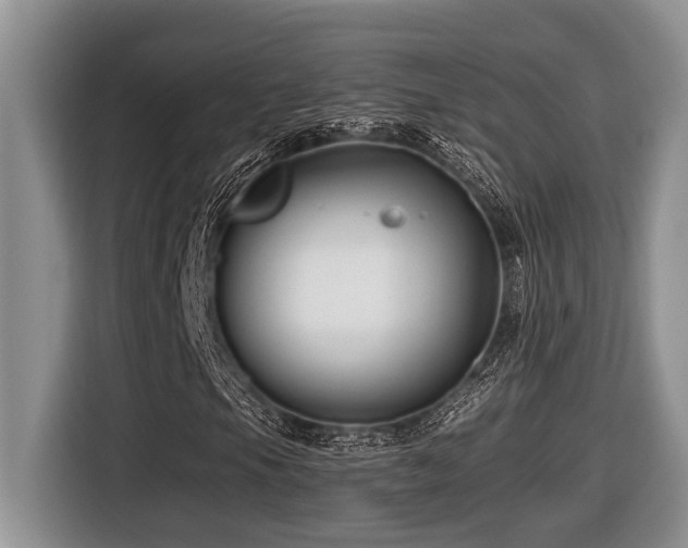 X0000116671105200912141335