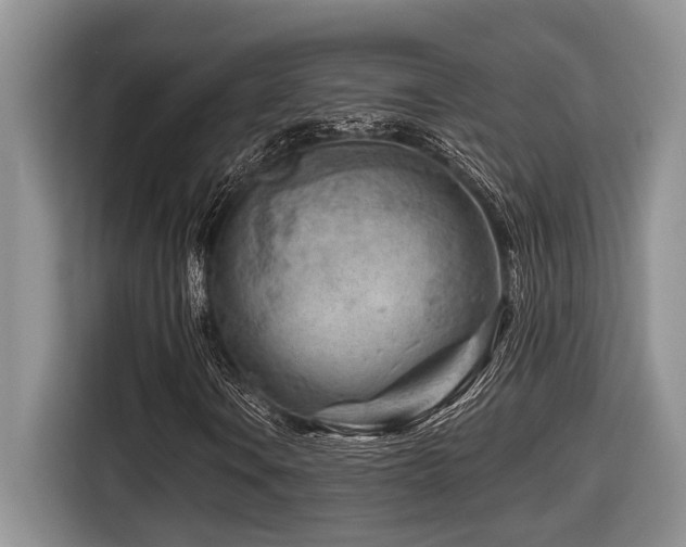 X0000116671106200912141335