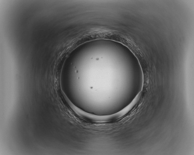 X0000116671109200912141335