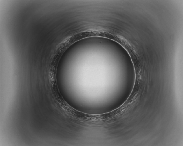 X0000116671110200912141335