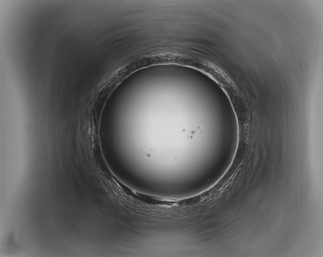 X0000116671111200912141335