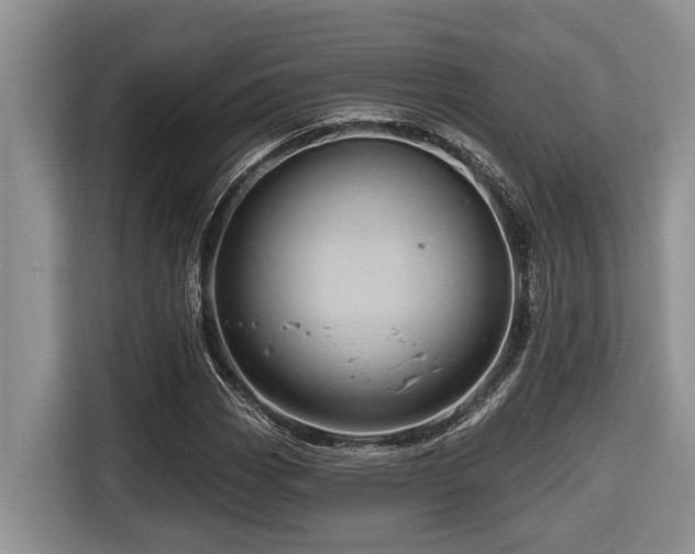 X0000116671113200912141335