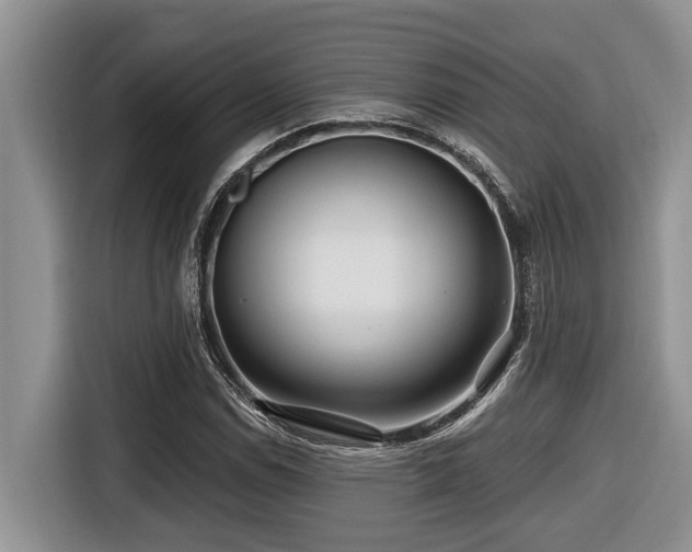 X0000116671114200912141335