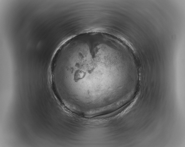 X0000116671117200912141335