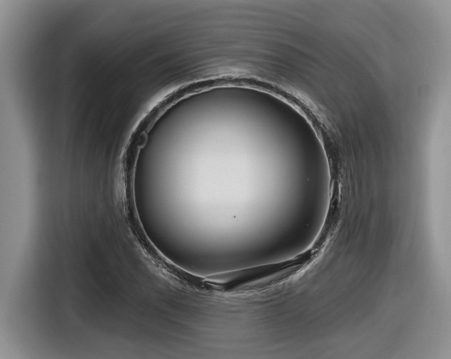 X0000116671118200912141335