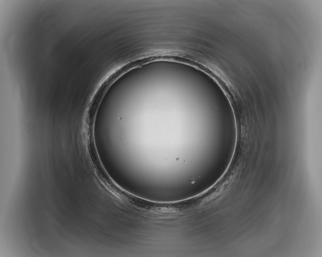 X0000116671119200912141335