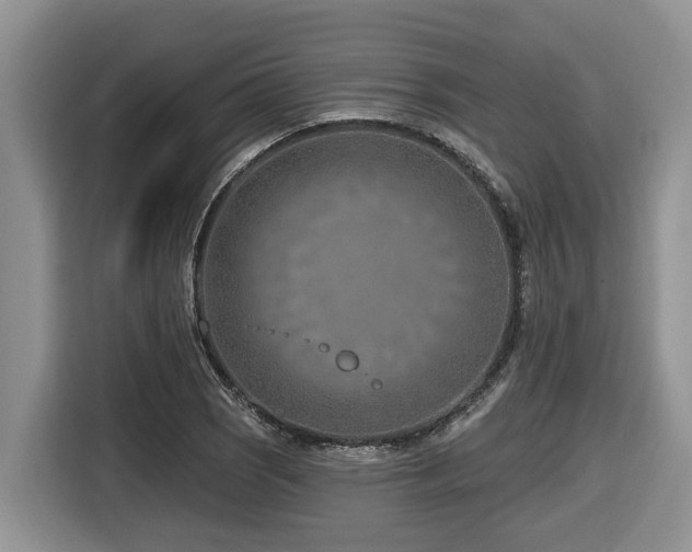 X0000116671121200912141335