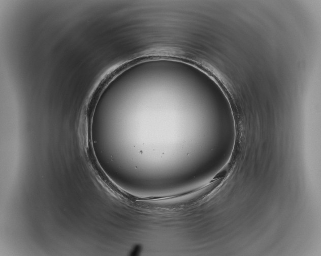 X0000116671123200912141335