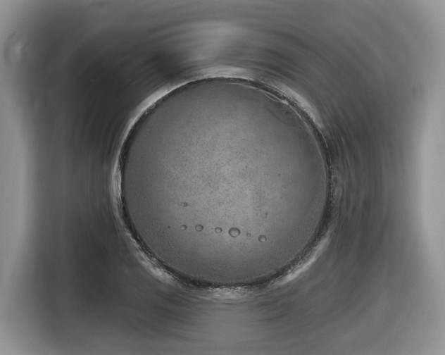 X0000116671125200912141335