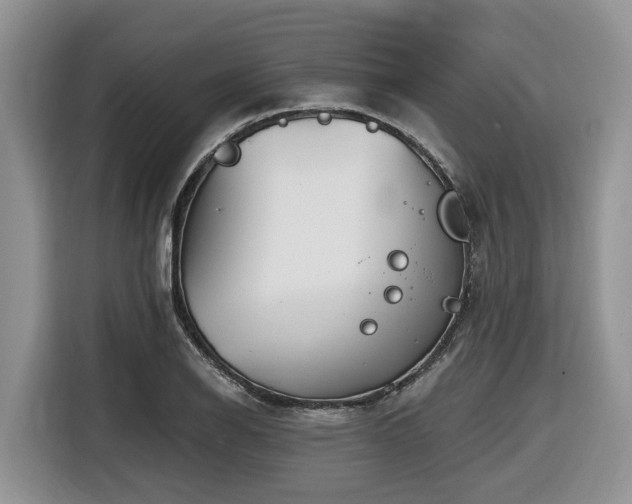 X0000116671126200912141335