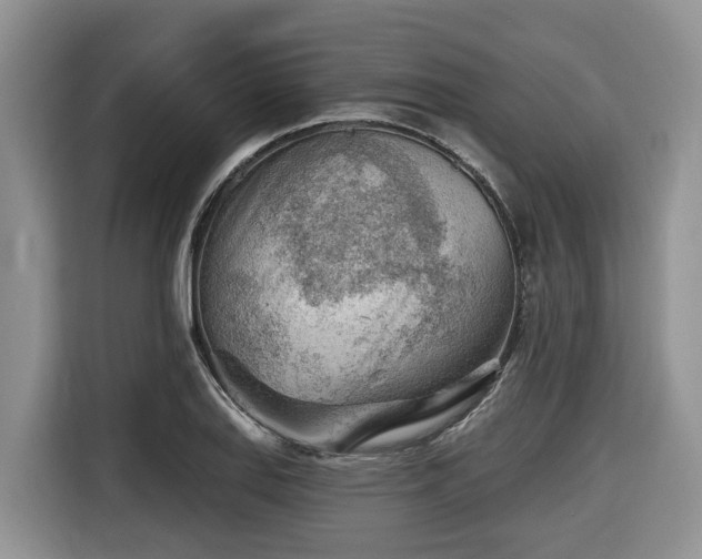 X0000116671127200912141335