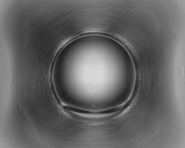 X0000116671129200912141335