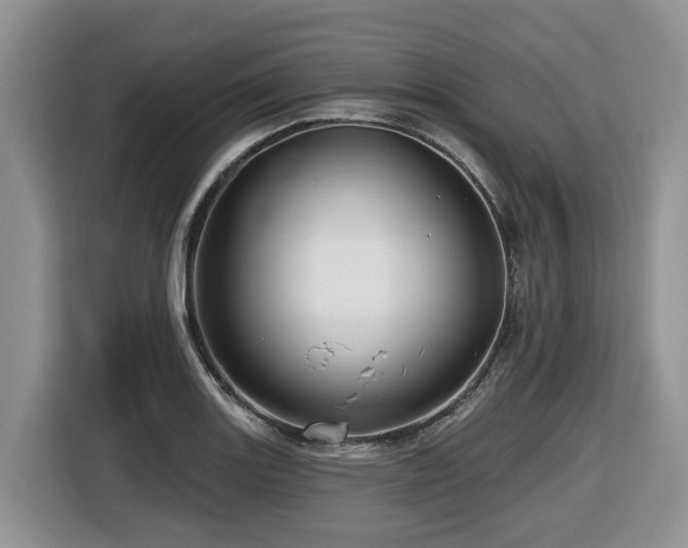 X0000116671131200912141335