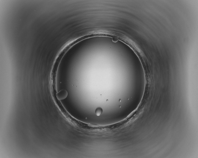 X0000116671133200912141335