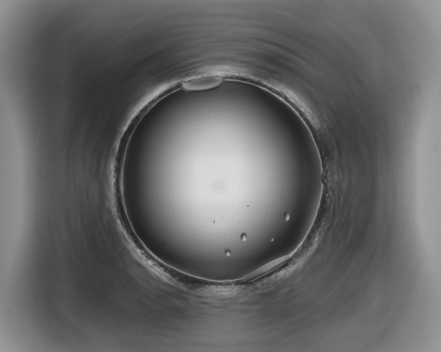 X0000116671134200912141335