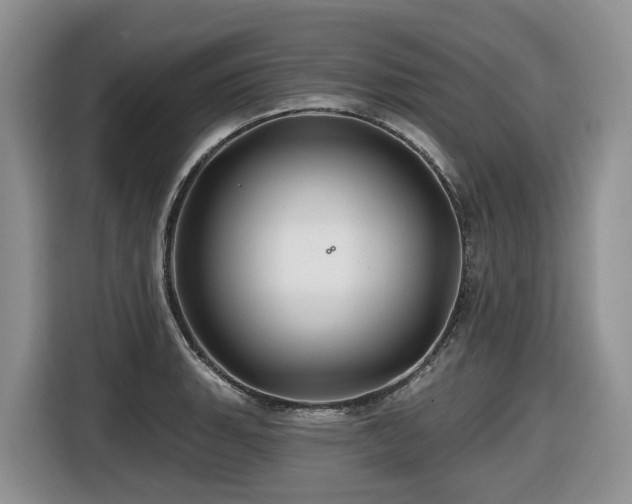 X0000116671135200912141335