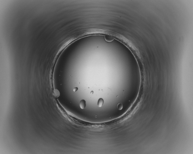 X0000116671137200912141335